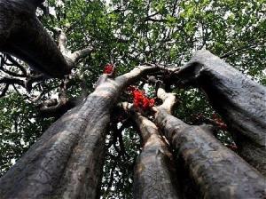 海阳云顶自然风景旅游区