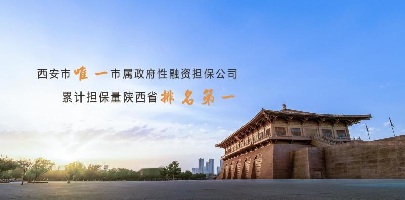 西安投融资担保有限公司