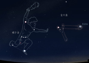 猎户座猎