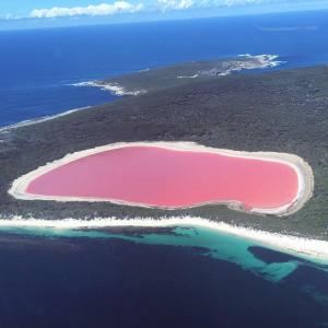 埃斯佩兰斯平克湖（Pink Lake）