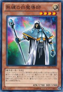 熟练的白魔导师