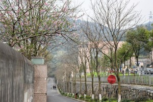 小和山校区