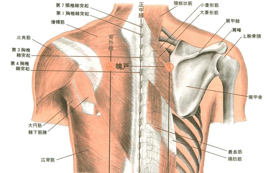 魄户