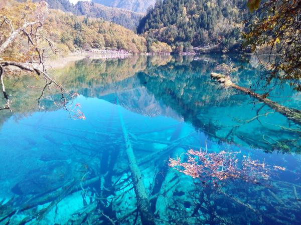 五花海 搜狗百科