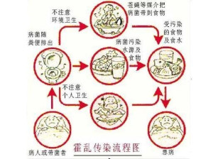 霍乱 - 搜狗百科
