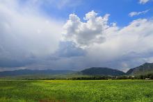 桑科草原风景