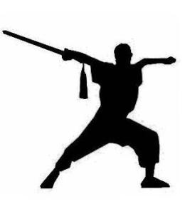 天津中华武士会 天津中华武士会