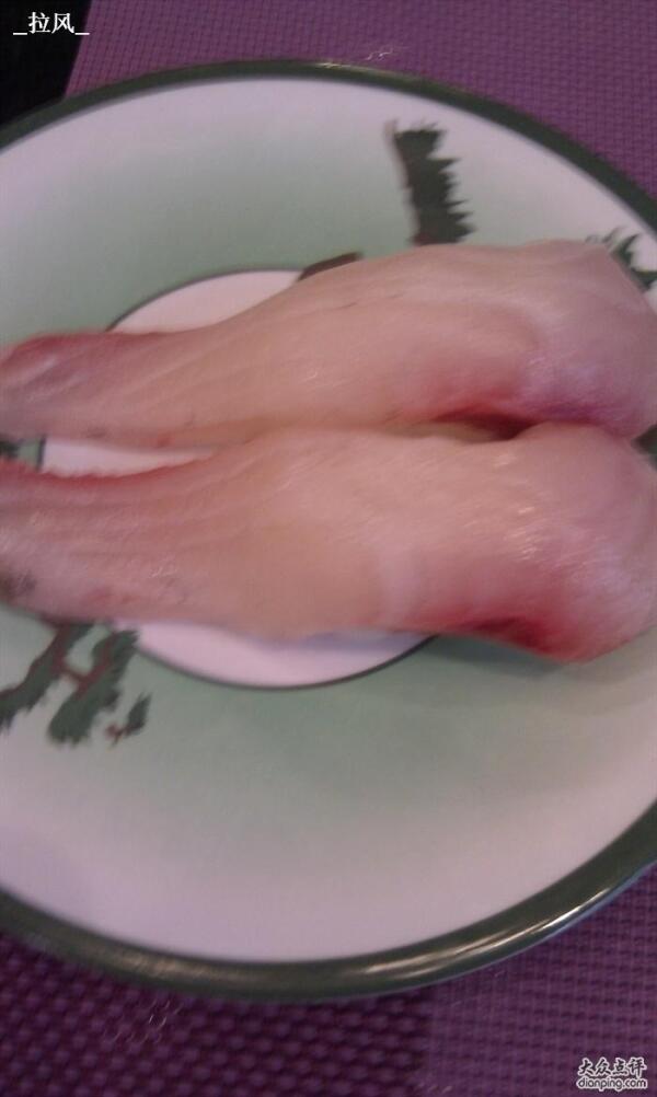 鰤鱼 鲹科鰤属动物 搜狗百科