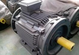 双输出轴电机和单输出轴电机 300