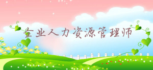 人力资源管理师