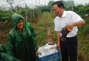 严宏昌在田间指导