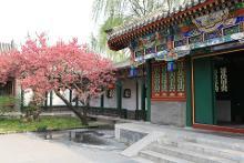 怡红院