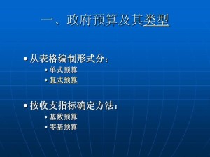国家预算