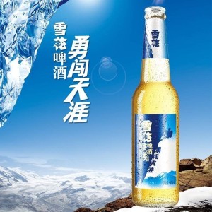 雪花啤酒勇闯天涯