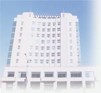 庆岭镇