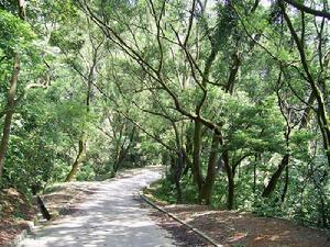 城门郊野公园