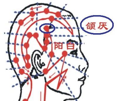 颔厌