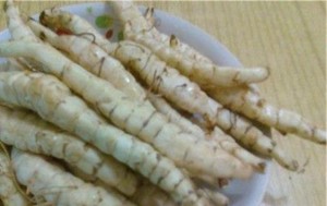 虫草参