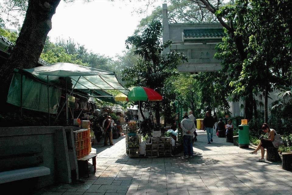 园圃街雀鸟花园 搜狗百科