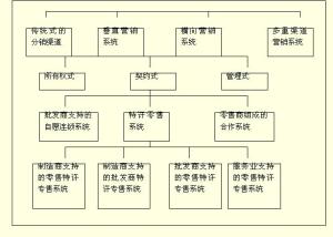 图2 渠道组织的具体类型