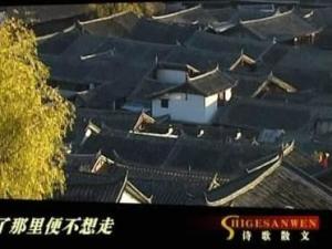 《电视诗歌散文》