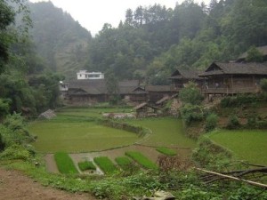 酉阳县农村风光