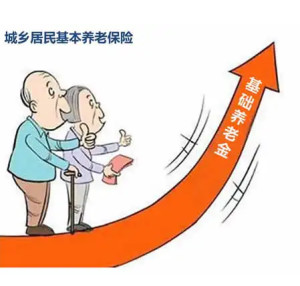 城乡居民社会养老保险