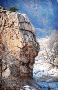 李古洞
