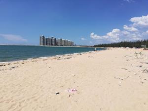 龙港海滩
