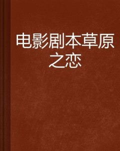 好的电影剧本可以挣多少 300