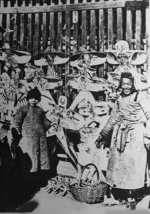 哈氏风筝