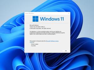 Windows 11