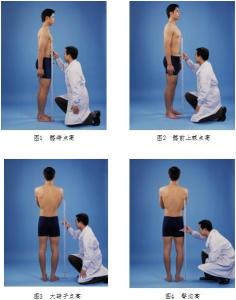 下肢长H、A、B、C