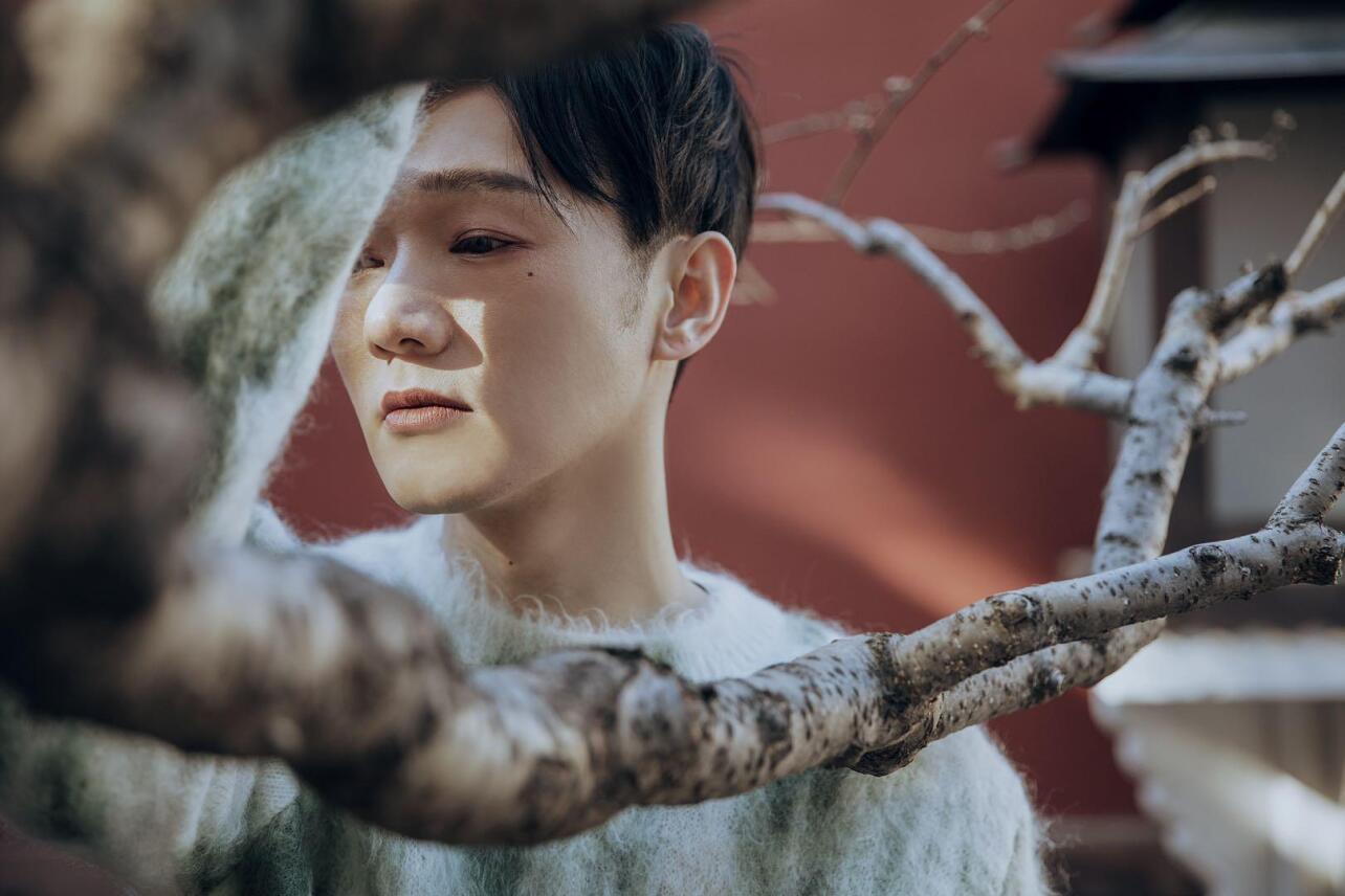 杨振(中国内地男演员)_搜狗百科