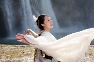 白鸟翩翩