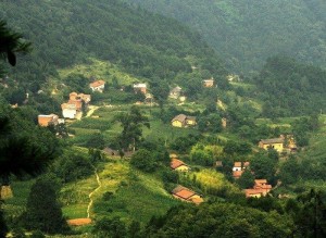 羊山生态旅游区