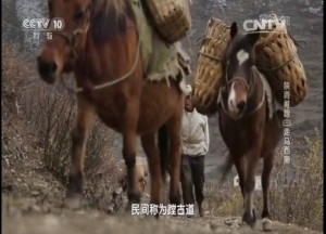 蹚古道图片