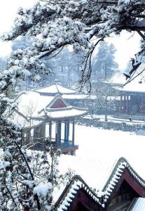 谐趣园冬景