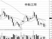 中科三环股本情况