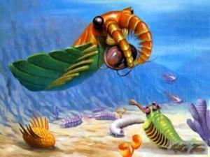 凯里生物群复原图