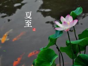 夏至