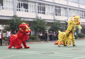 学校社团开放日