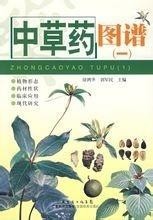 中草药图片书 300