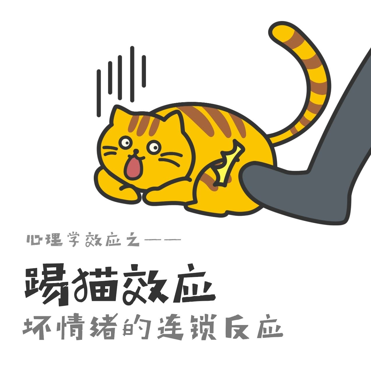 打雷猫的反应 0