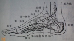 足弓