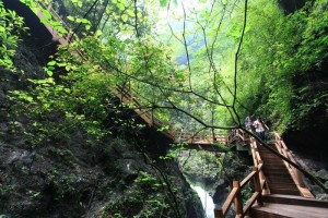 万盛黑山谷风景