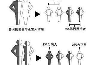 地贫筛查