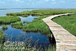 四川若尔盖湿地自然保护区