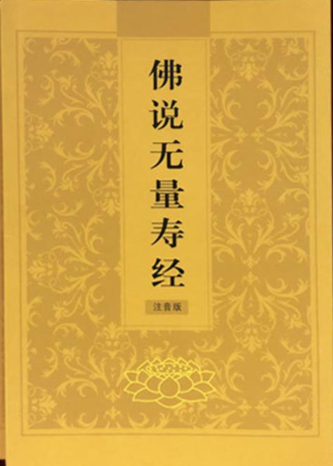 佛教经典:全称《佛说无量寿经》,二卷,曹魏康僧铠译
