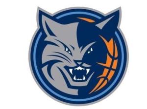 山猫